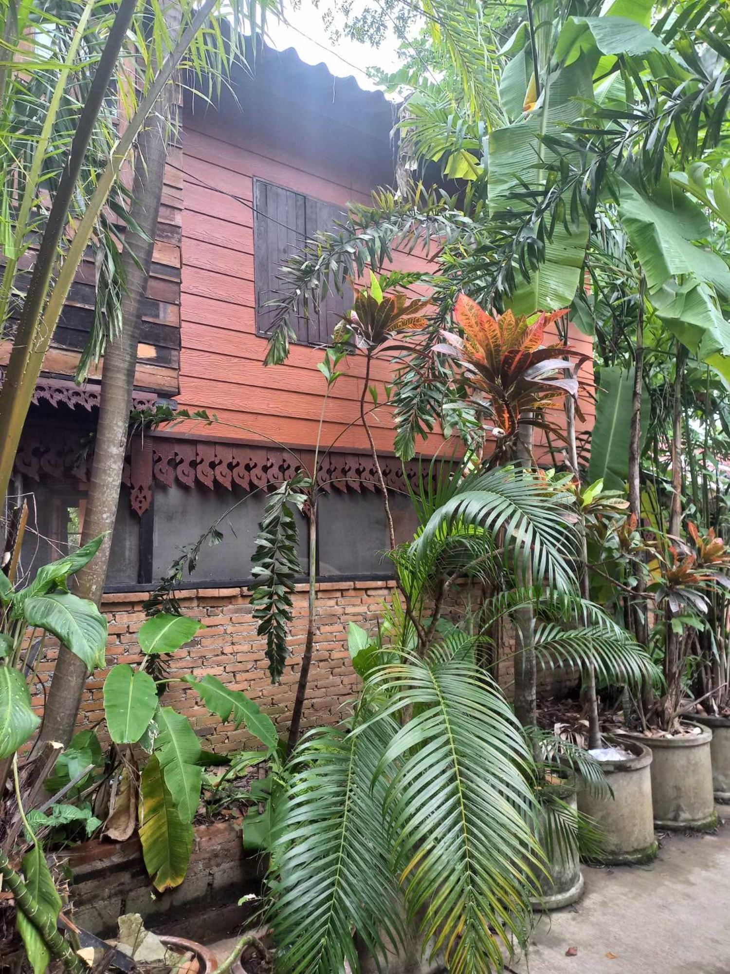 Teak House Chiang Mai Hotel Eksteriør billede