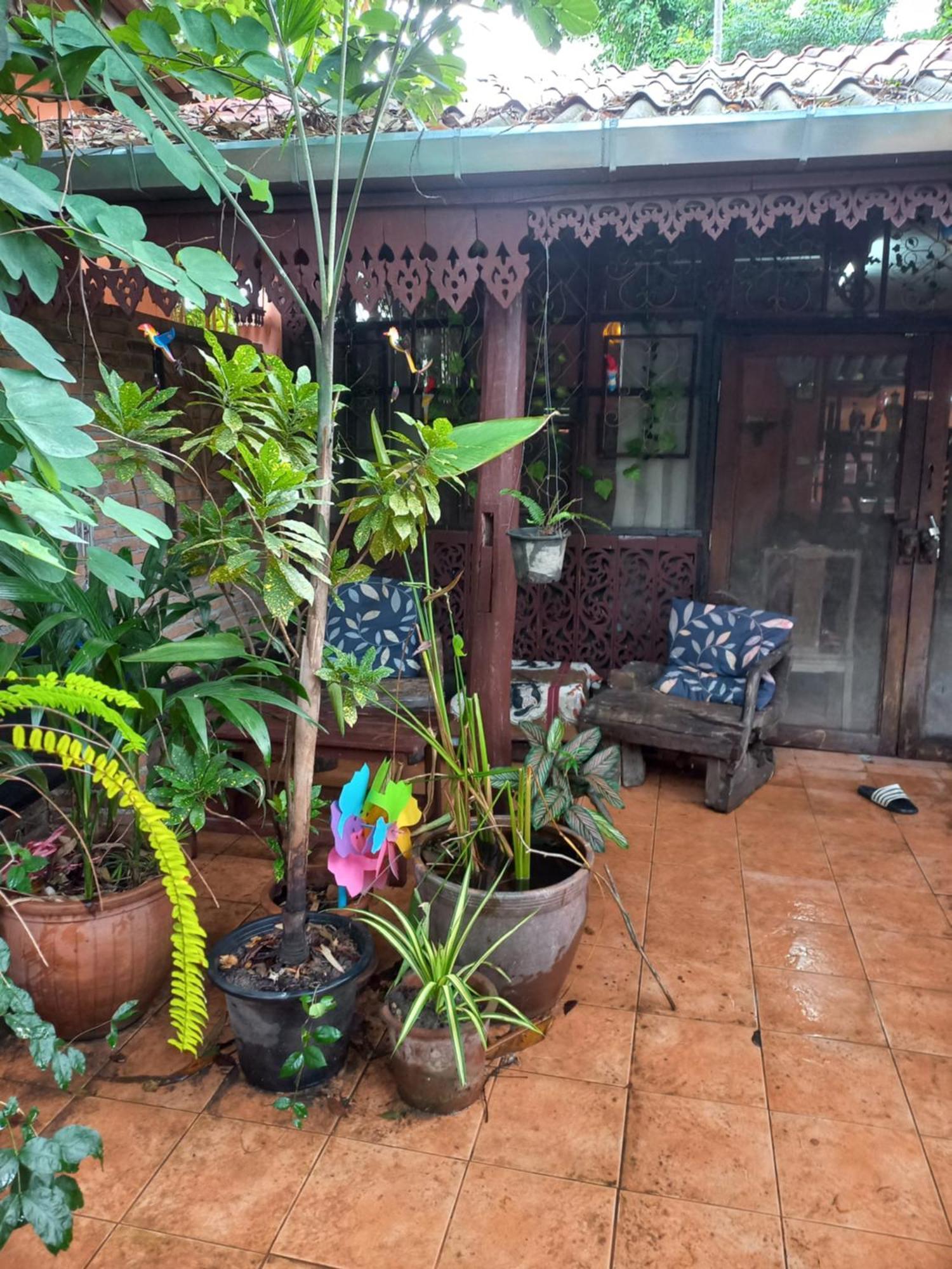 Teak House Chiang Mai Hotel Eksteriør billede